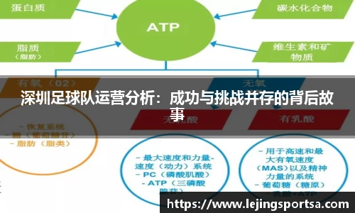 深圳足球队运营分析:成功与挑战并存的背后故事
